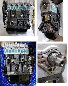 MOTOR DFSK 1.0 Serie CS21, CS22